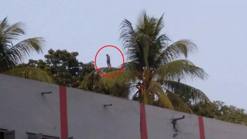 potret kocak penampakan aneh Berbagai sumber