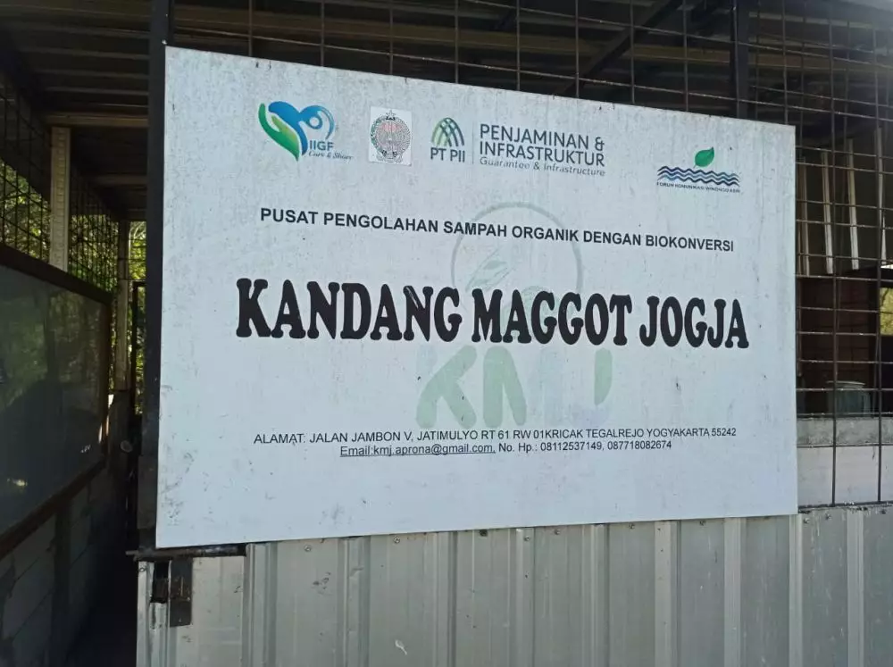 kandang maggot jogja © 2023 brilio.net