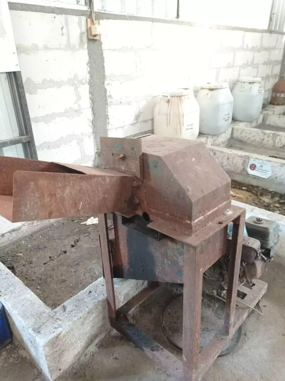 kandang maggot jogja © 2023 brilio.net