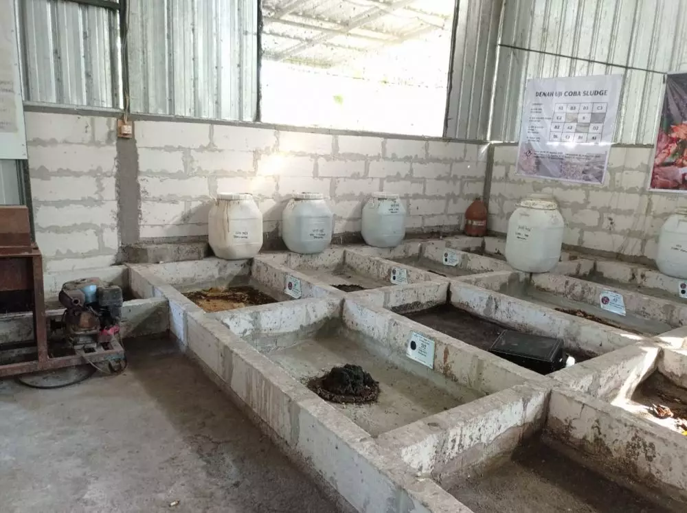 kandang maggot jogja © 2023 brilio.net