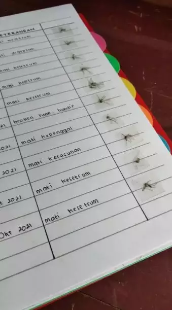 Potret kocak koleksi benda nggak penting Berbagai sumber