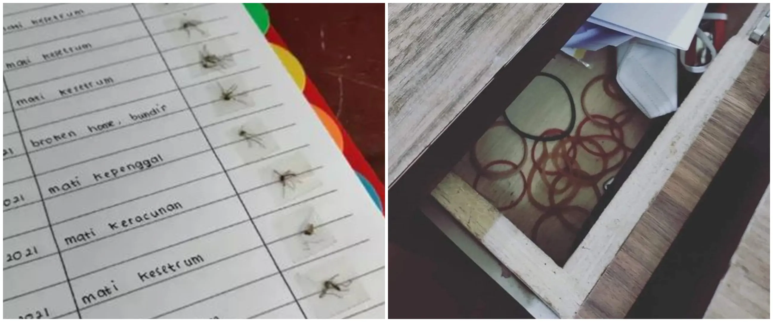 11 Potret kocak koleksi benda nggak penting ini gabutnya keterlaluan, bikin repot dan nirfungsi