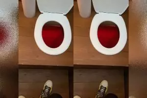 Desain jamban ini biasa saja, tapi cara pakainya terlampau mindblowing, berasa cosplay jadi kucing