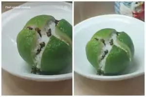 Hanya pakai 3 bahan dapur, ini cara bikin obat nyamuk alami dan bebas asap