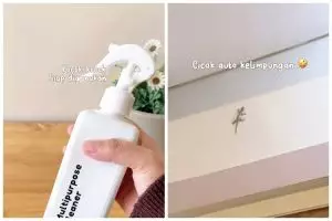 Tak perlu bikin alat perangkap, ini cara buat cairan pembasmi cicak pakai 3 bahan dapur