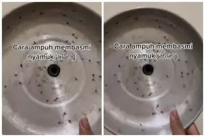 Cara unik bikin raket pembasmi nyamuk ala warganet ini sederhana cuma pakai 1 alat dan bahan dapur