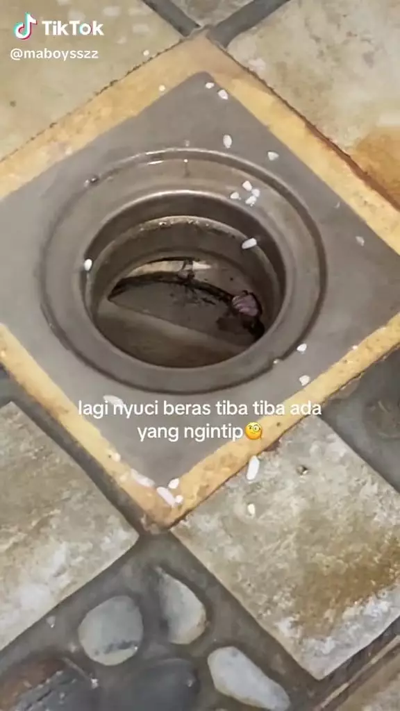 Penampakan bikin geli di wastafel © TikTok