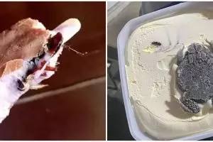 11 Potret kocak momen apes saat mau makan es krim ini bikin ngelus dada, ada benda asing di dalamnya