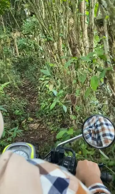 Momen ngenes cewek tersesat di hutan TikTok Momen ngenes cewek tersesat di hutan TikTok