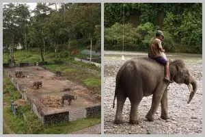 Menyusuri keindahan Tangkahan, lokasi Nicholas Saputra dan Chicco Jerikho di “Adu Rayu”