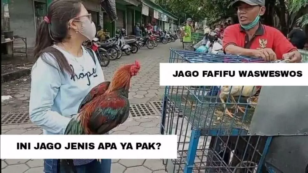 Meme tanya jawab nggak nyambung Berbagai sumber