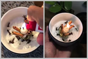 Cuma modal 3 bahan dapur, begini cara ampuh mengusir nyamuk tanpa semprotan khusus