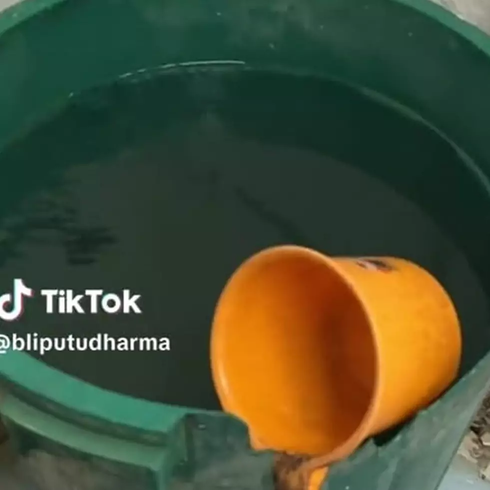 Desain interior WC di kapal ini terkesan jelek banget, tapi pemandangannya bikin betah