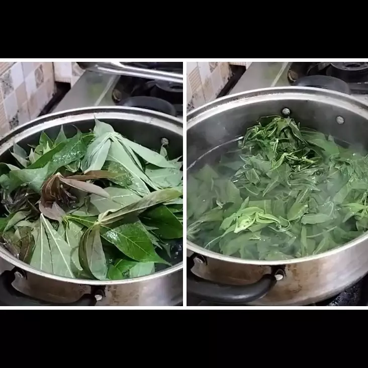 Cukup 3 menit, begini trik merebus daun singkong agar empuk dan warnanya hijau meski tanpa baking soda