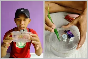Cara bikin pengiris cabai dari toples bekas ini kreatif banget, kokoh dan awet dipakai