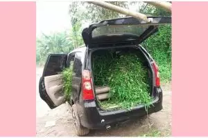 Di luar kebiasaan, 11 potret kocak mobil bawa barang nggak biasa ini lihatnya jadi ikutan sesak