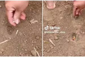 Cara semai benih pakai satu barang fesyen ini nyeleneh abis, tapi kayaknya menarik buat ditiru