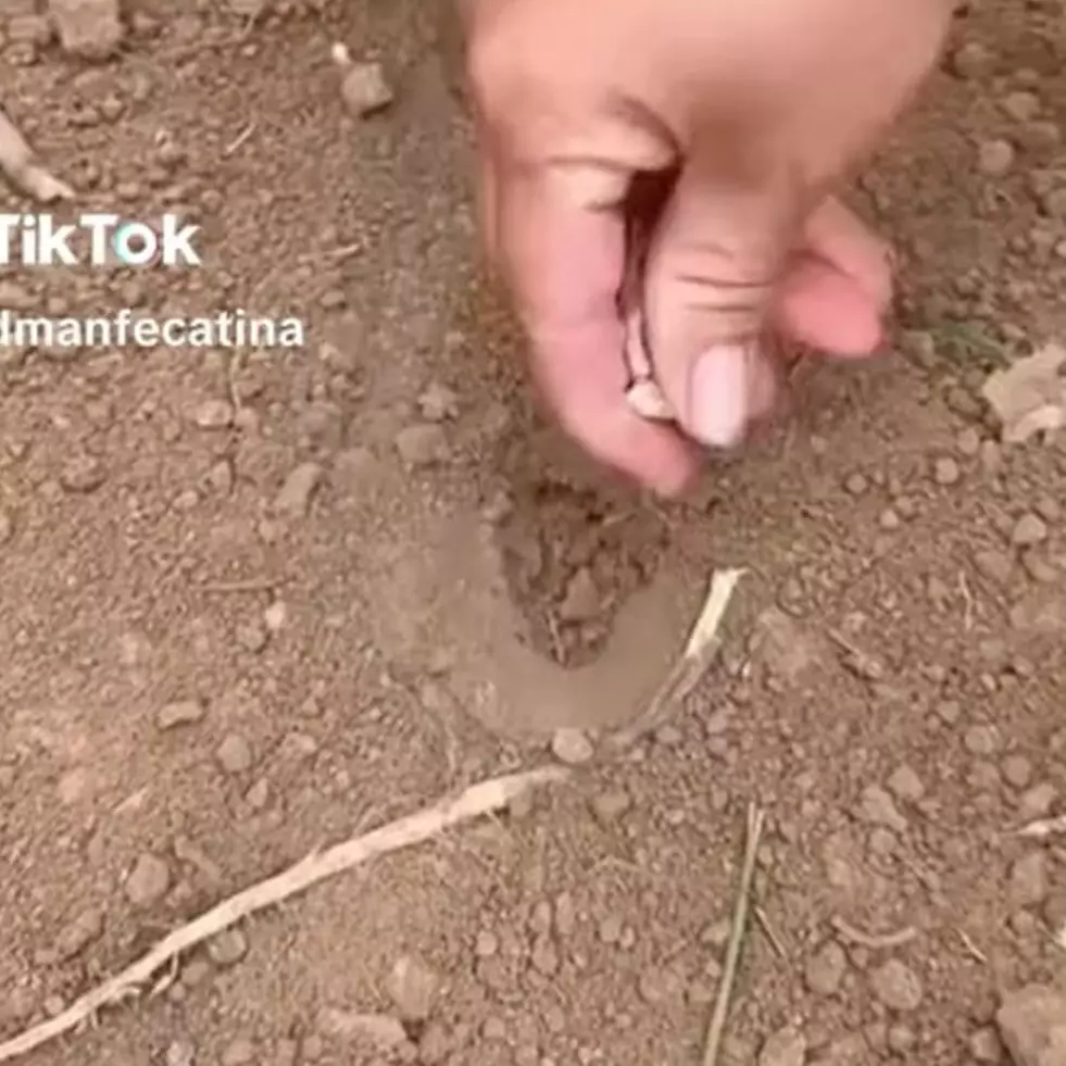 Cara semai benih pakai satu barang fesyen ini nyeleneh abis, tapi kayaknya menarik buat ditiru