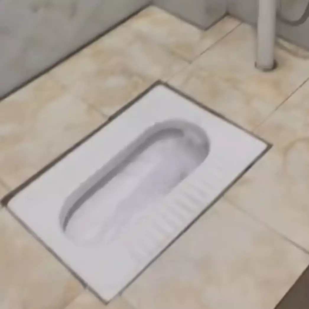 Bukan pakai gayung apalagi tombol flush, cara guyur toilet ini uniknya di luar nalar banget