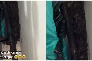 Wanita ini temukan sarang lebah bejibun di kamar mandi indekos, penampakannya bikin bergidik