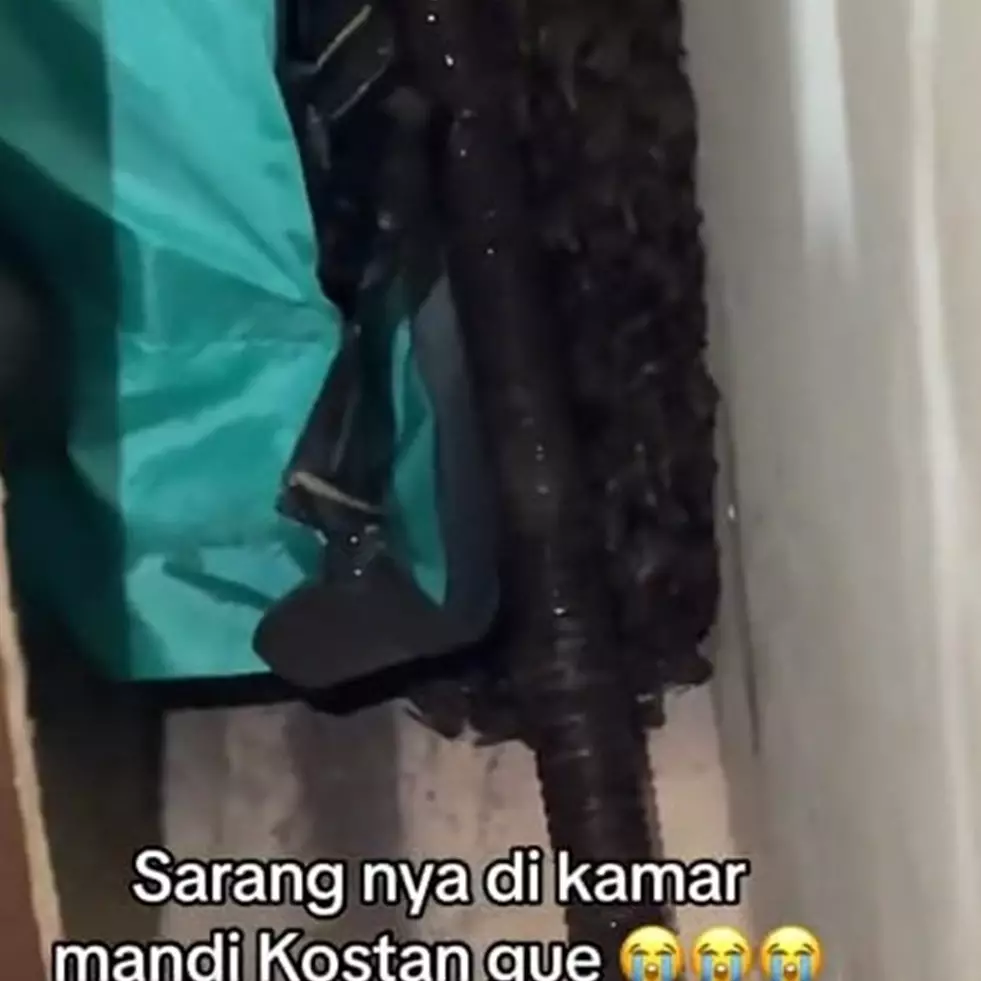 Wanita ini temukan sarang lebah bejibun di kamar mandi indekos, penampakannya bikin bergidik