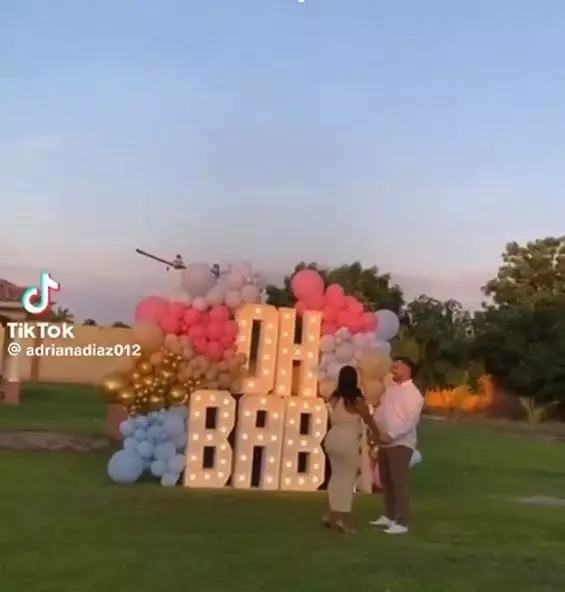 momen pesawat terjatuh saat atraksi di pesta gender reveal TikTok