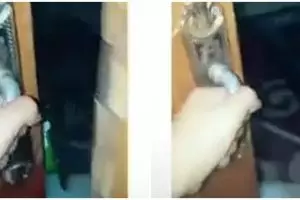 Aksi pria bikin tutorial mengunci pintu tanpa kunci ini mindblowing banget, ada yang tertarik meniru?