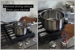Nggak suka bau masakan di dapur yang menyengat, begini cara hilangkannya cuma pakai 1 bahan makanan