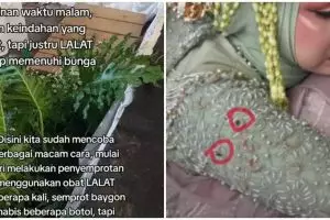 Diminta tolong edit foto pernikahan viral karena dikerumuni lalat, 11 hasil garapan pria ini keren
