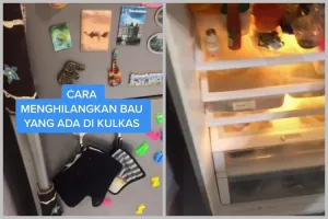 Bukan pakai kopi, ini cara mudah hilangkan bau di kulkas cuma pakai 1 ampas minuman