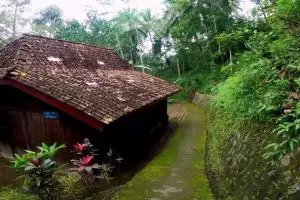 Rumah di tengah hutan rimbun Purworejo ini ternyata hunian pahlawan nasional, lantainya masih tanah