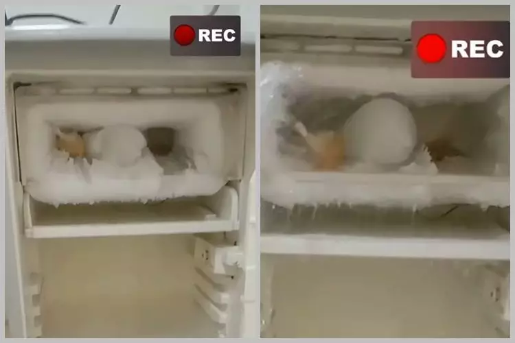 Bukan pakai kipas angin, begini trik cepat mencairkan bunga es tebal di freezer