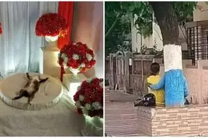 10 Potret lucu kebetulan ini pas dilihat dua kali bikin tepuk jidat, ada pohon mirip manusia