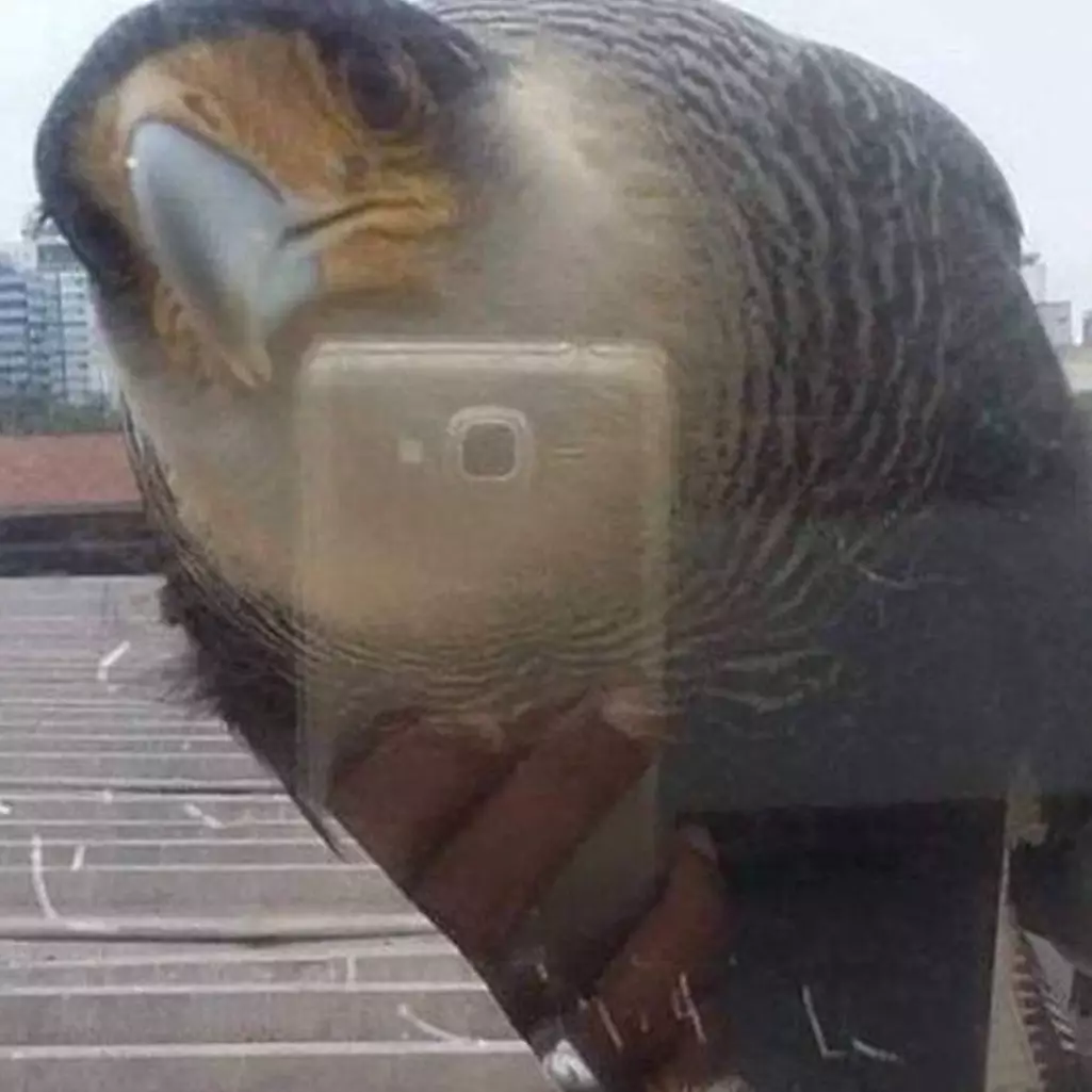 13 Potret kocak kebetulan di tempat umum ini butuh waktu lama baru paham, ada jerapah berleher pendek