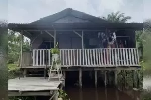 Berada di atas rawa, 11 potret rumah ungu dinding kayu dan atap seng ini pas lihat isinya bikin syok