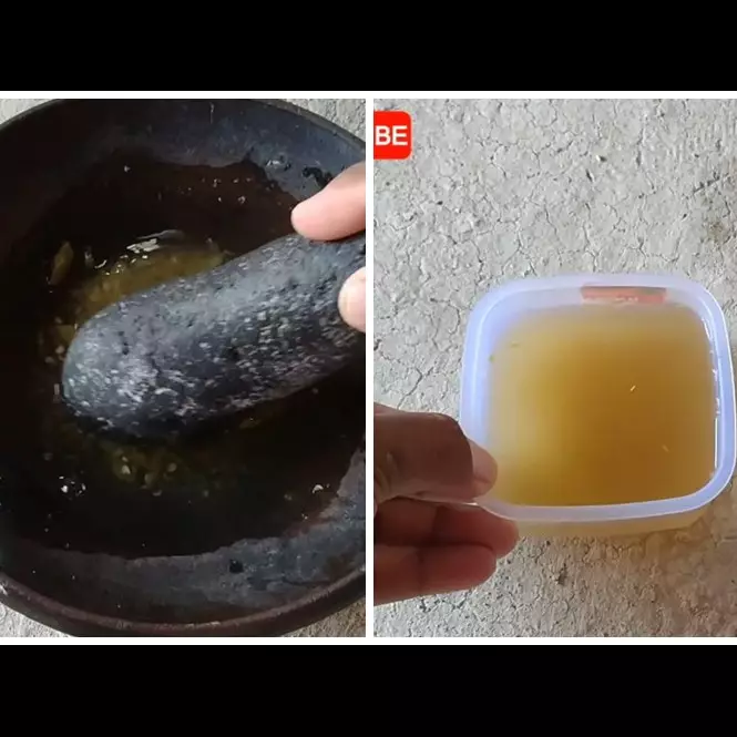 Ampuh tanpa bikin perangkap, ini trik mengusir tikus cuma pakai 1 bahan dapur