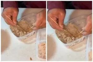 Cara efektif membasmi tikus tanpa racun khusus, cuma pakai 2 bahan dapur