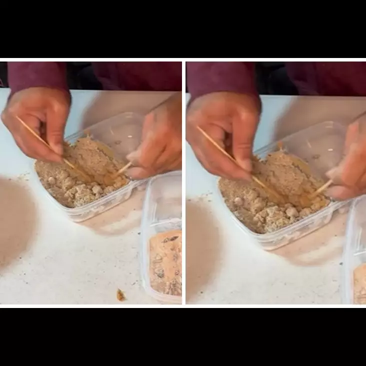 Cara efektif membasmi tikus tanpa racun khusus, cuma pakai 2 bahan dapur