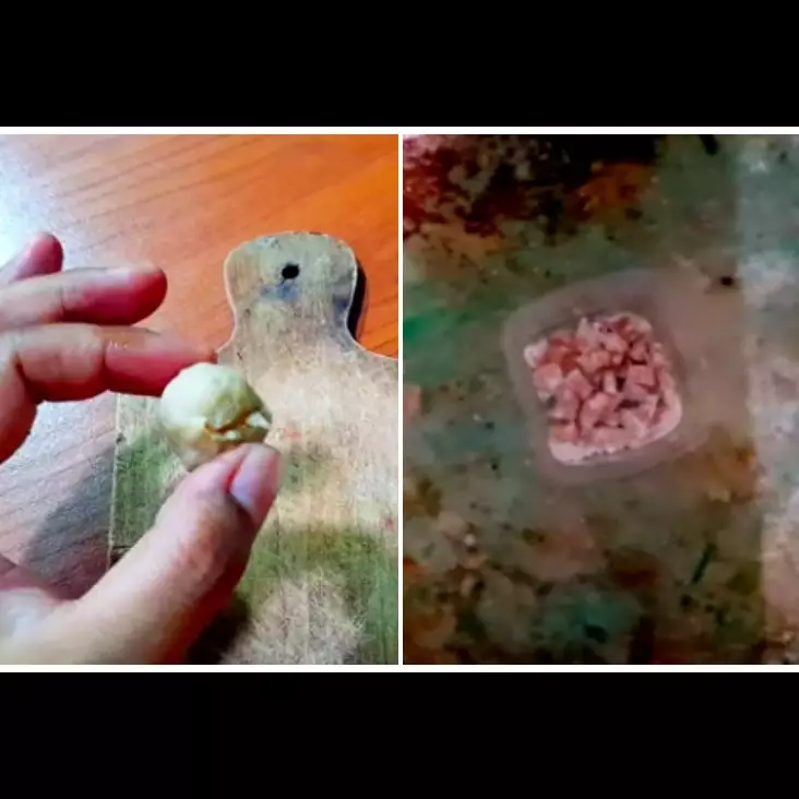 Bukan pakai lada bubuk, ini trik mudah bikin racun tikus cuma pakai 1 bahan dapur