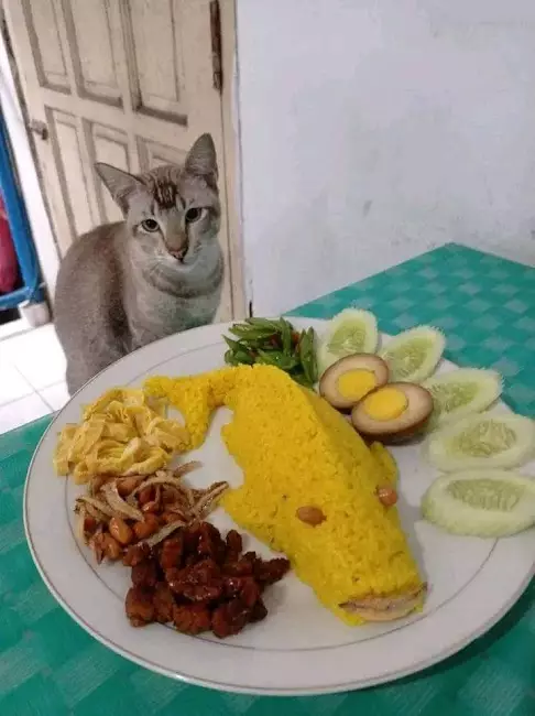 nasi kuning bentuk nyeleneh © berbagai sumber nasi kuning bentuk nyeleneh © berbagai sumber