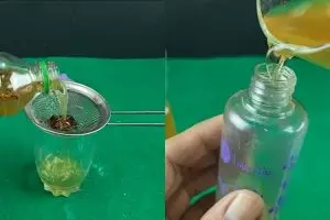 Simpel tanpa pakai perangkap, ini cara membasmi tikus cukup tambah 1 bahan dapur