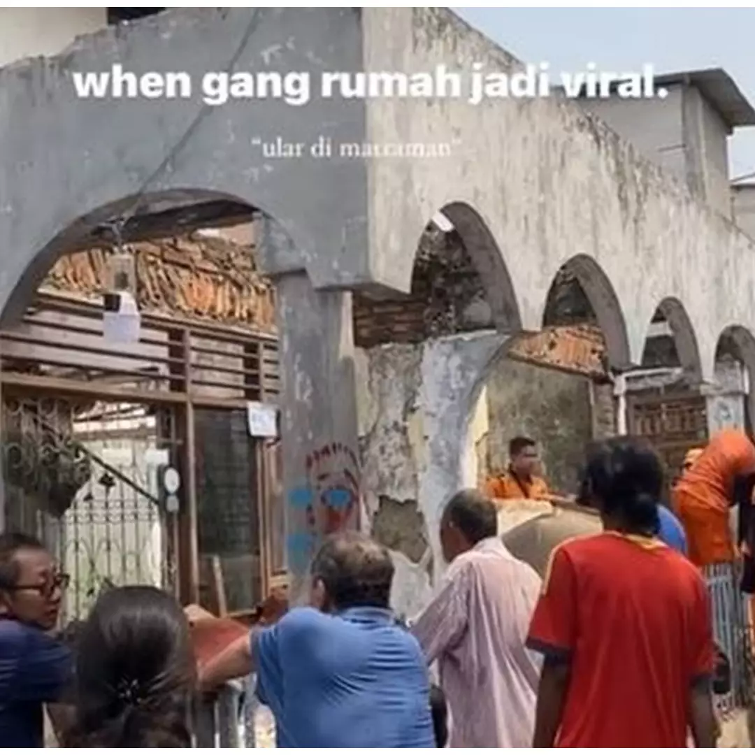 Terbengkalai 17 tahun, potret rumah di Matraman jadi sarang belasan ular sanca ini bikin merinding