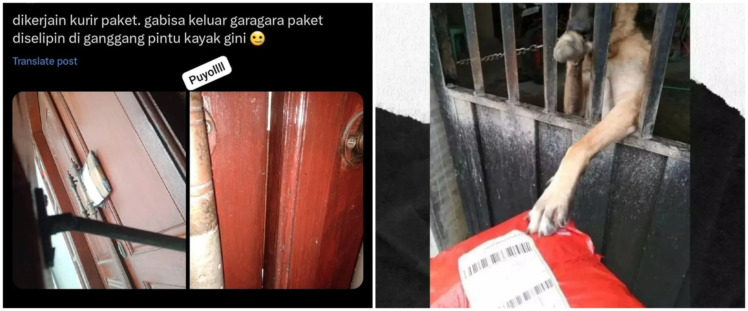 11 Momen lucu kurir saat antar paket ini nyeleneh abis, endingnya bikin tepuk jidat
