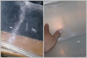 Bukan pakai lakban, ini cara mudah memperbaiki rak kulkas patah agar kembali utuh