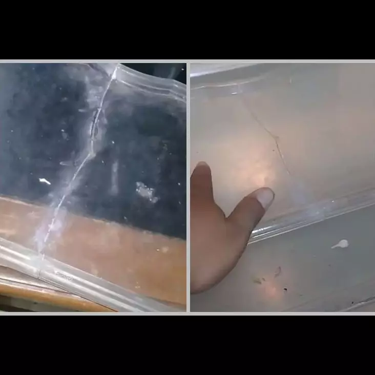 Bukan pakai lakban, ini cara mudah memperbaiki rak kulkas patah agar kembali utuh