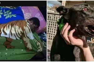 11 Potret lucu kebetulan ini dilihat dua kali baru paham, fotografernya jago banget ambil momen