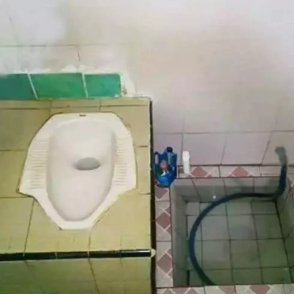 11 Potret lucu jamban ini didesain oleh orang kreatif bin nyeleneh, bikin takjub sekaligus bingung