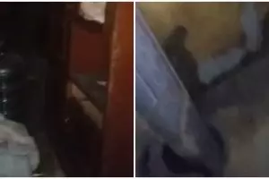 Pekerja pabrik ini tinggalkan indekos berbulan-bulan, pas lihat penampakan dalamnya bikin melongo