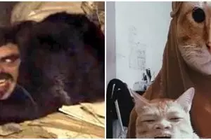 Ketika majikan mencari hiburan, 11 potret kocak kucing pakai filter HP ini cocok jadi bahan tertawaan