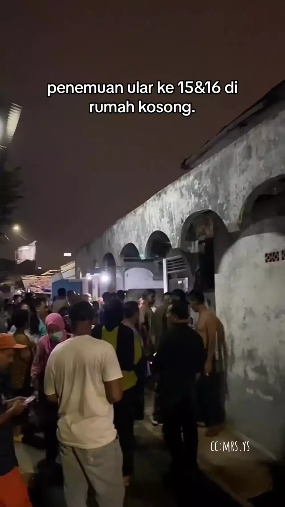 potret rumah terbengkalai jadi kerajaan ular © TikTok potret rumah terbengkalai jadi kerajaan ular © TikTok